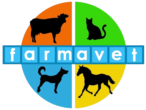 Calidad de comida, accesorios y vitaminas para mascotas 